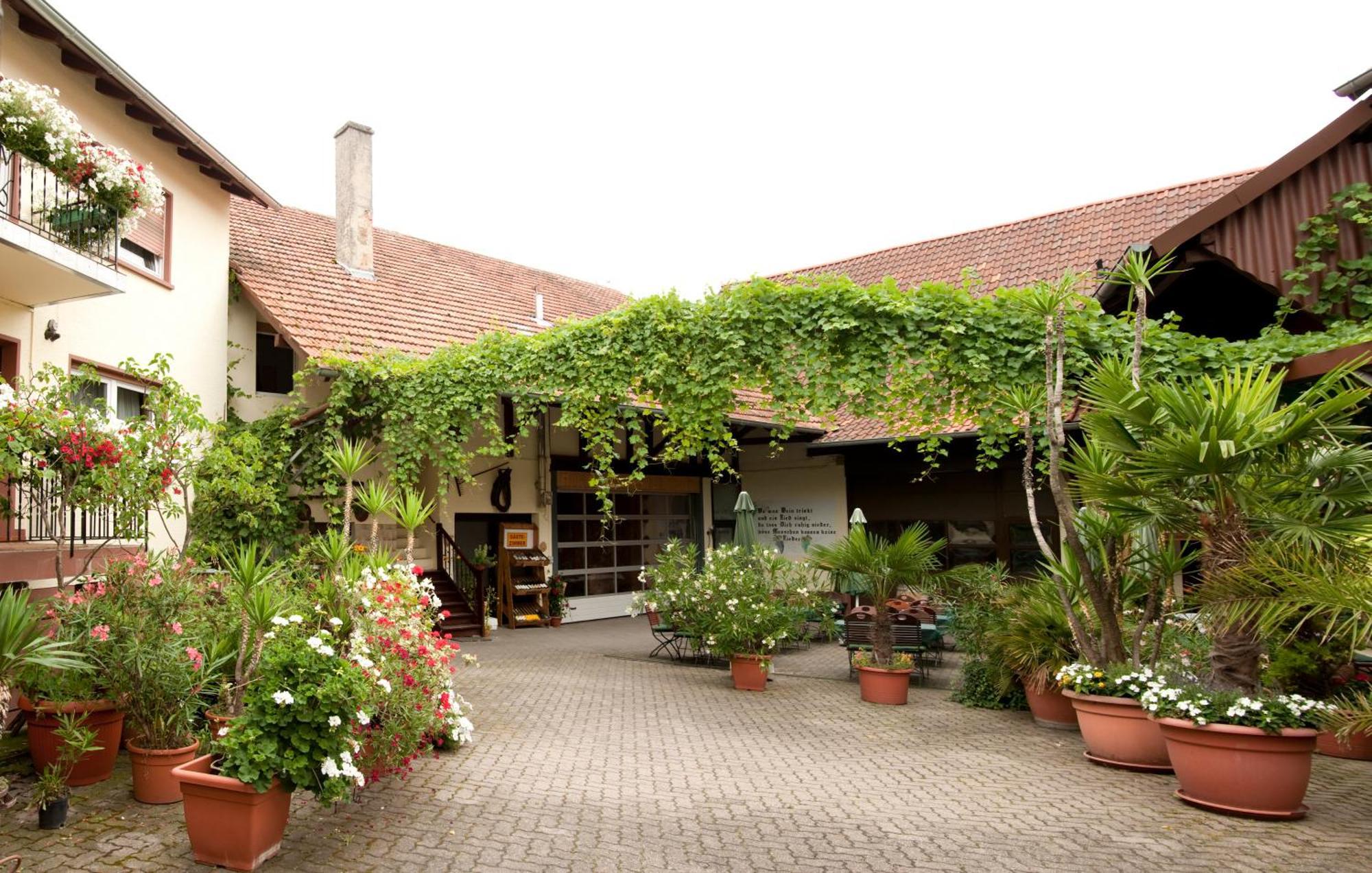 Weingut Und Gastehaus Vongerichten Oberhausen  Buitenkant foto